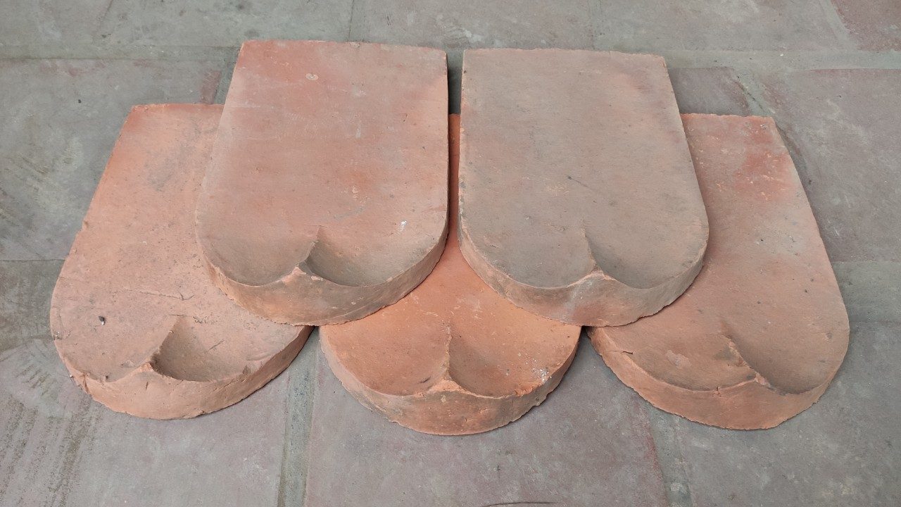 Ngoi Mui Hai Dai (1)